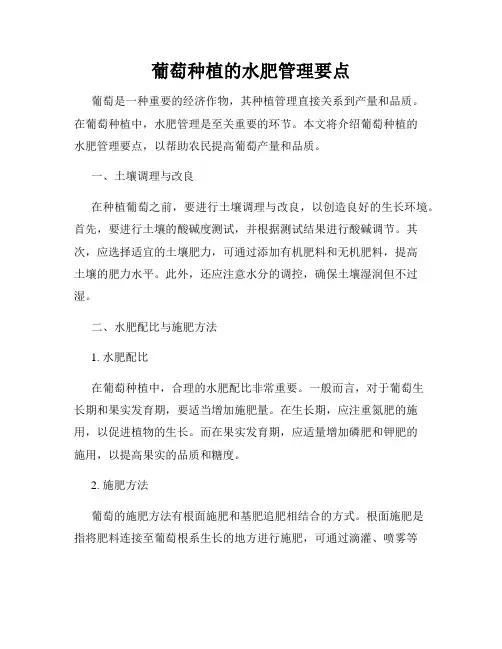 葡萄种植的水肥管理要点