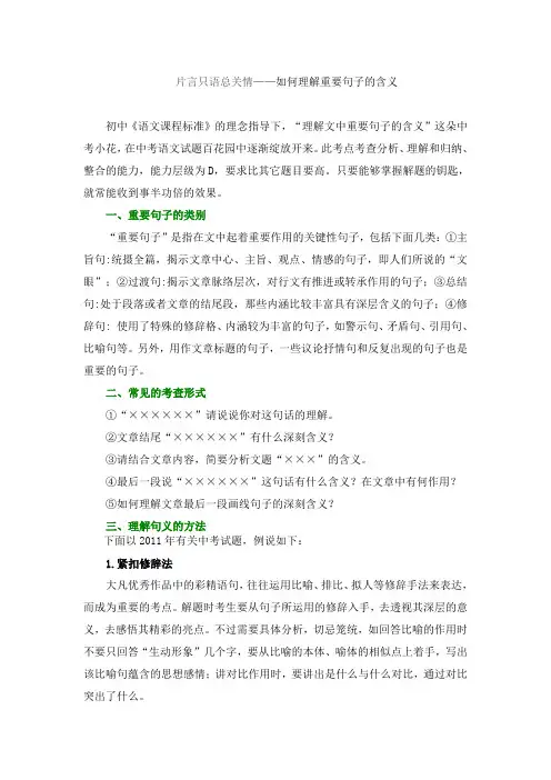 如何理解重要句子的含义