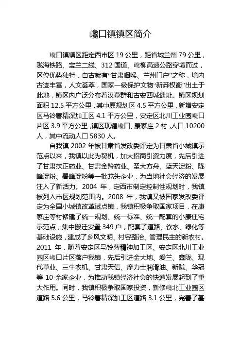 巉口镇镇区简介