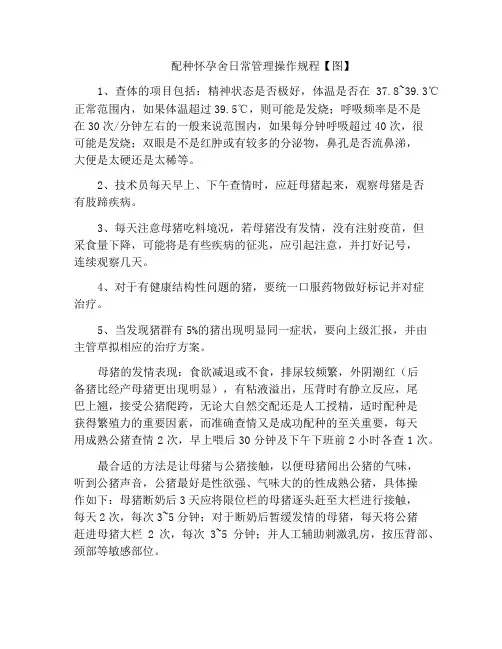 配种怀孕舍日常管理操作规程【图】