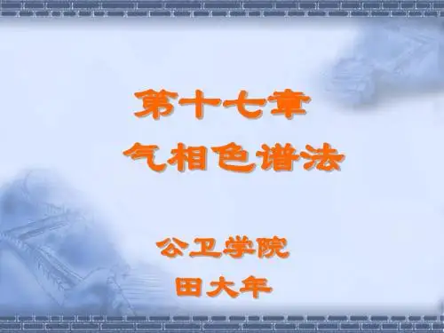 17气相色谱法检验