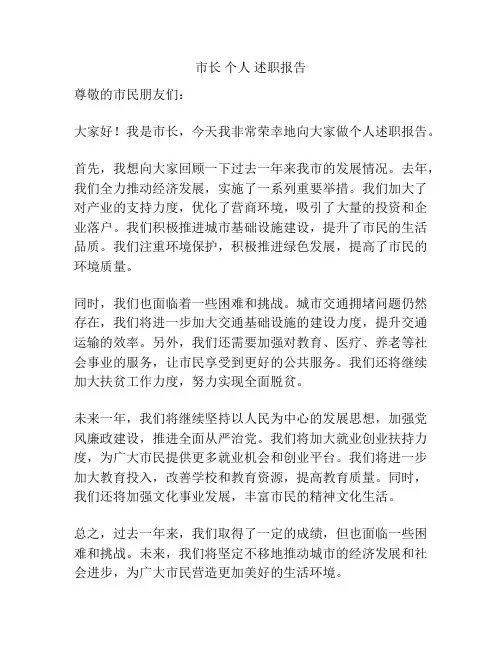 市长 个人 述职报告