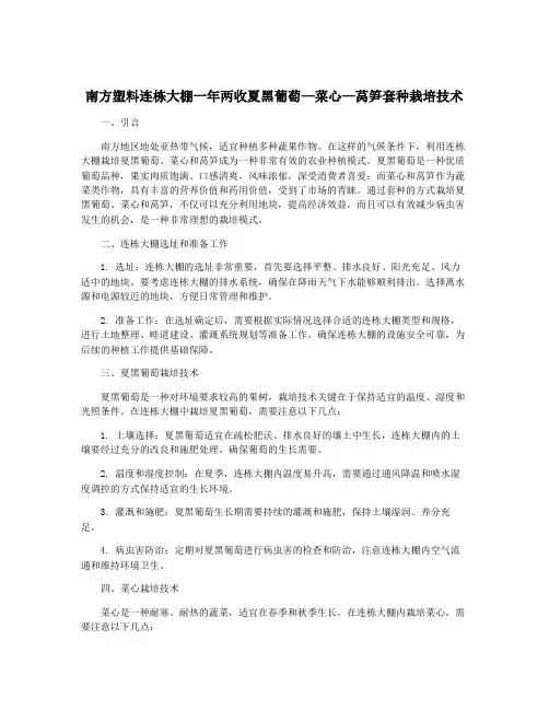 南方塑料连栋大棚一年两收夏黑葡萄—菜心—莴笋套种栽培技术