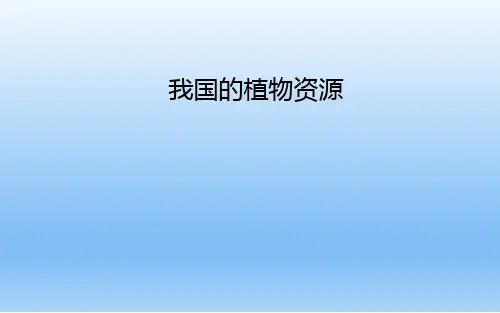 北师大版七年级生物上册7.2我国的植物资源课件 (共23张PPT)
