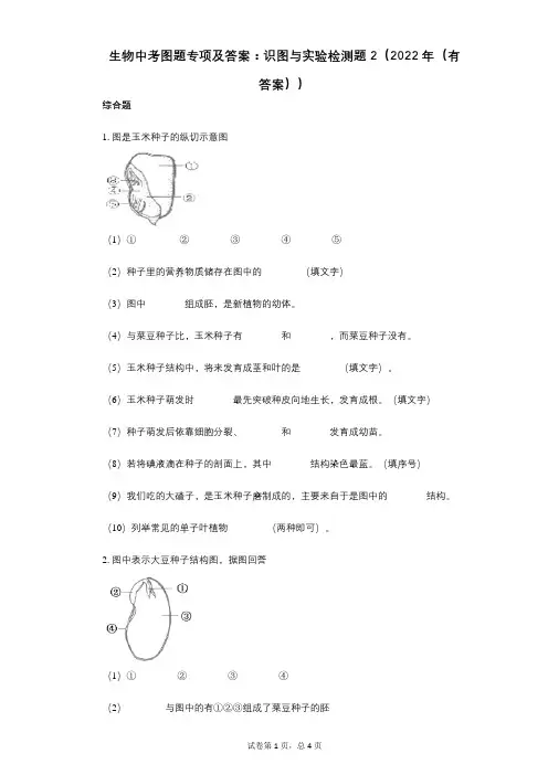 生物中考图题专项及答案：识图与实验检测题2(2022年(有答案))