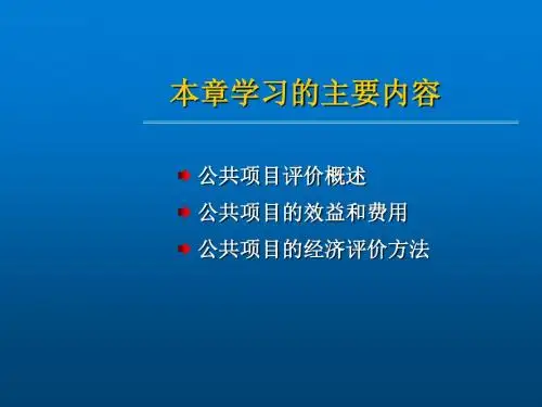 技术经济学第7章 公共项目的经济评价