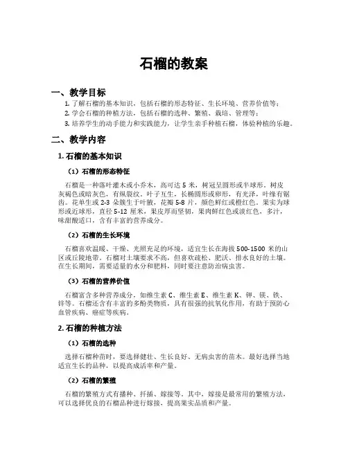 石榴的教案