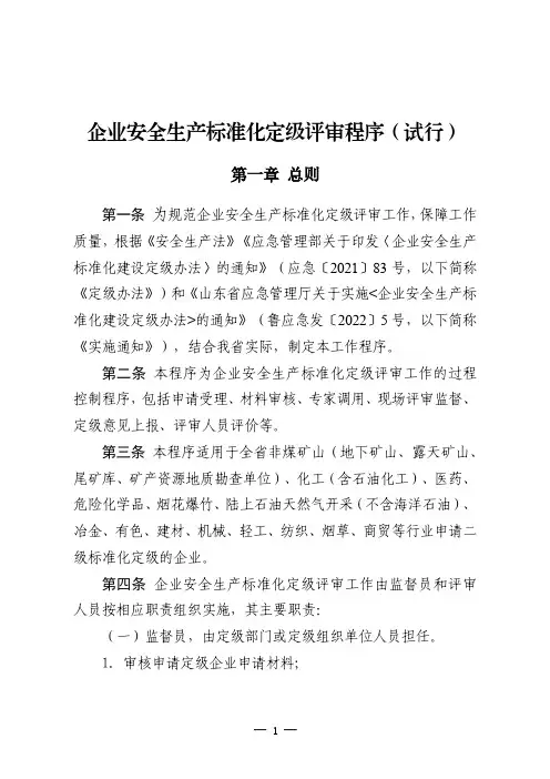 山东省企业安全生产标准化定级评审程序(试行)2023版