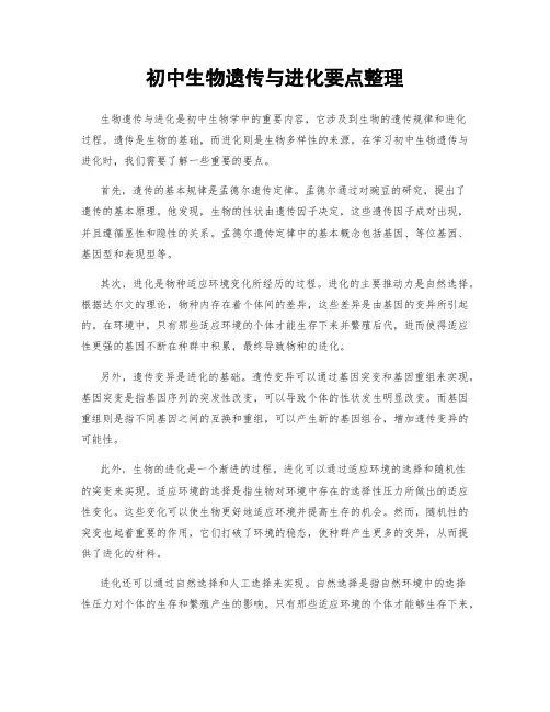 初中生物遗传与进化要点整理