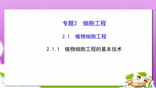 人教版高中生物选修三2.1.1《植物细胞工程的基本技术》ppt精讲课件