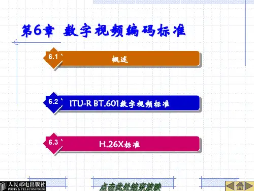 第6章  数字视频编码标准