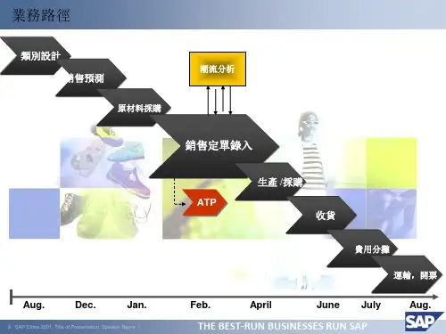 SAP服装行业解决方案9783