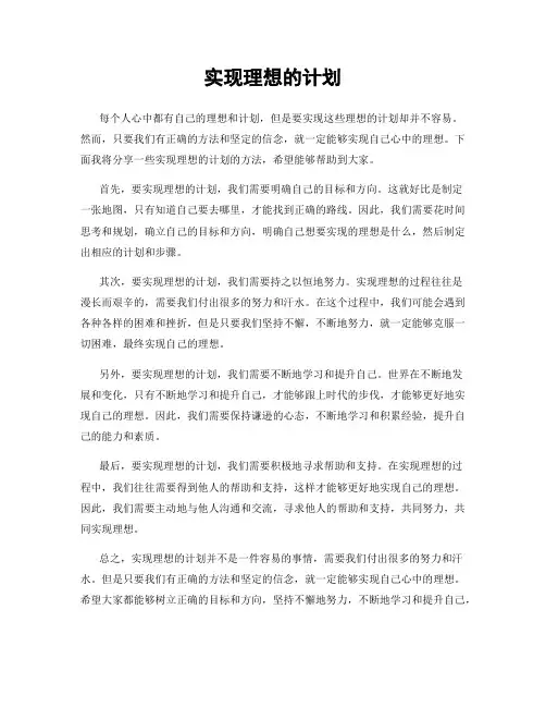 实现理想的计划