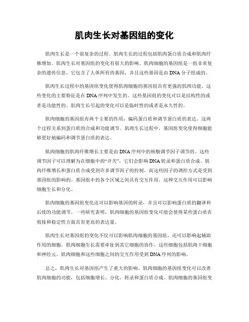 肌肉生长对基因组的变化