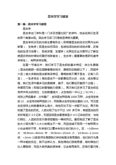 昆虫学学习感受