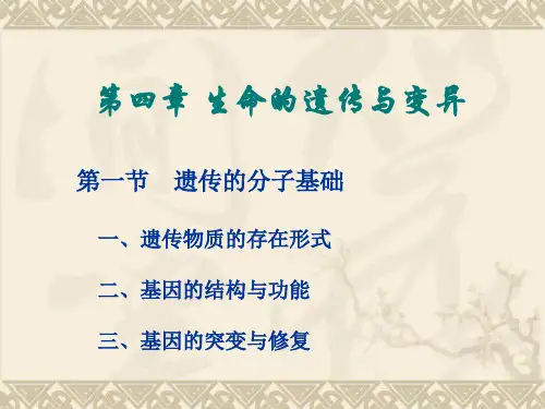 生命的遗传与变异