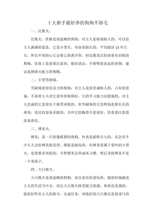 十大新手最好养的狗狗不掉毛