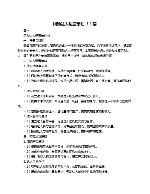 团购达人运营策划书3篇