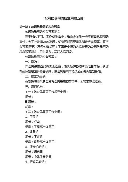 公司防暴雨的应急预案五篇