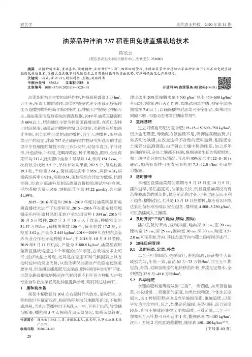 油菜品种沣油737稻茬田免耕直播栽培技术