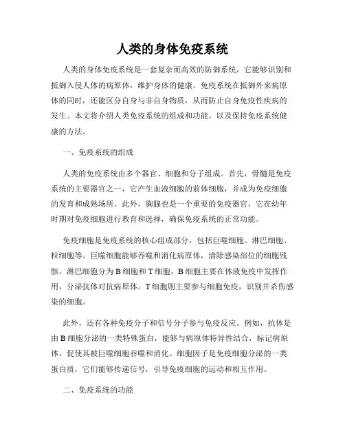 人类的身体免疫系统