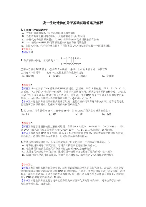 高一生物遗传的分子基础试题答案及解析
