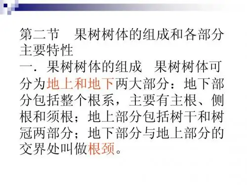 第二节 果树树体的
