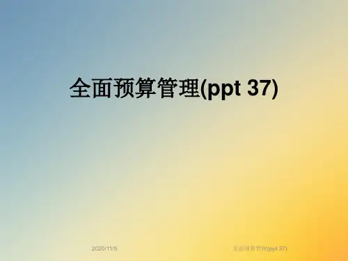 全面预算管理(ppt 37)
