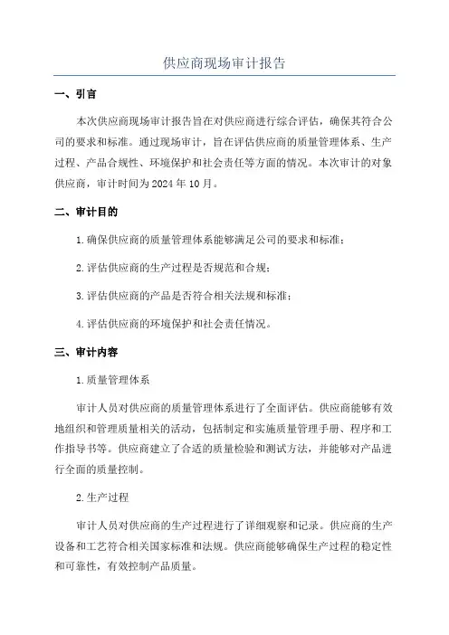 供应商现场审计报告