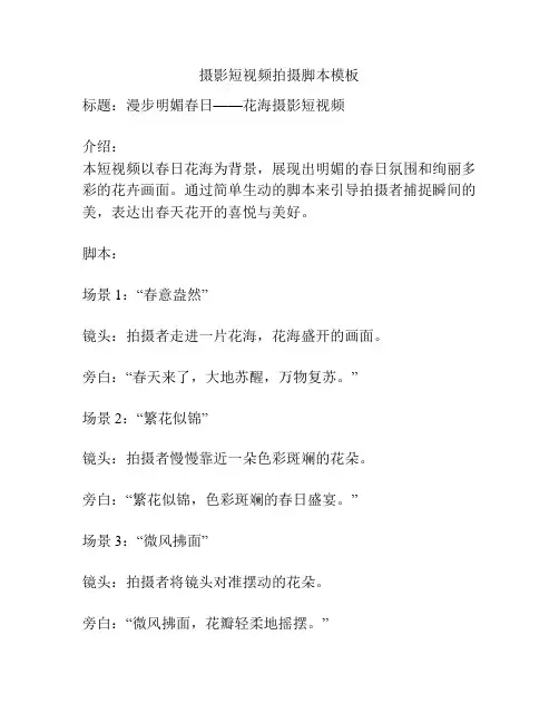 摄影短视频拍摄脚本模板