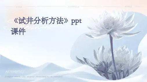 《试井分析方法》课件