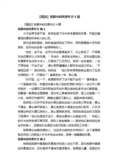 【精选】我眼中的风景作文4篇