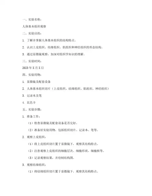 组织胚胎学实验报告