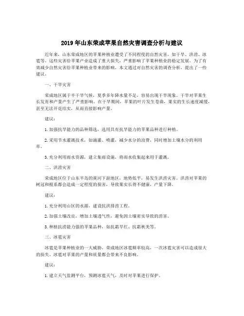 2019年山东荣成苹果自然灾害调查分析与建议