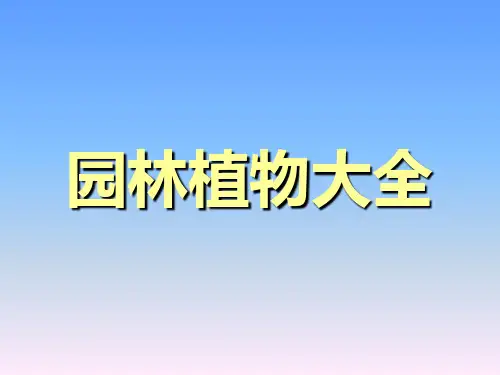 常见园林植物基础简介园林绿化植被花卉园艺课件-7