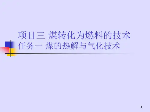 洁净煤燃烧技术——煤的热解与气化ppt课件