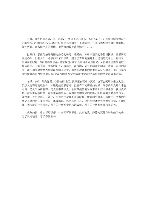 冬日的阳光