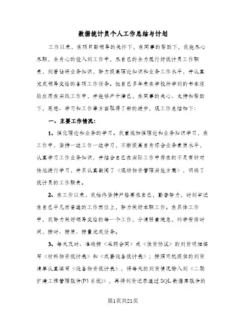 数据统计员个人工作总结与计划（5篇）