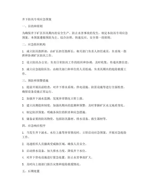 井下防汛专项应急预案范文