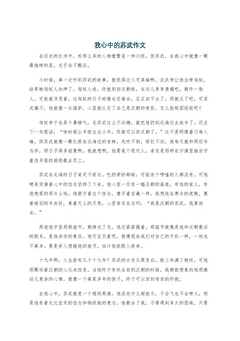 我心中的苏武作文