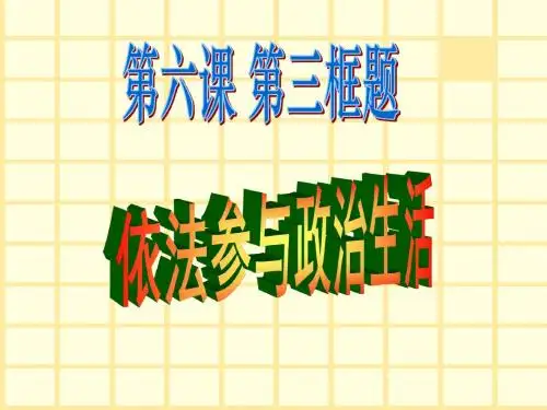 63依法参与政治生活.pptx