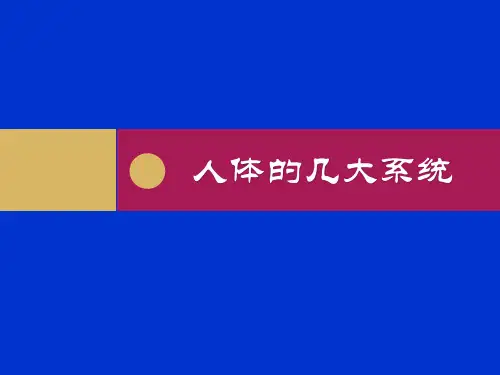 人教版初中生物总复习：人体系统-PPT(16张)优质课件