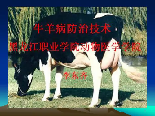 《布氏杆菌病》PPT课件_OK