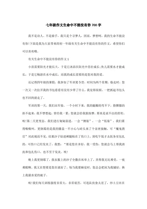 七年级作文生命中不能没有你700字
