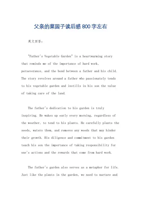 父亲的菜园子读后感800字左右