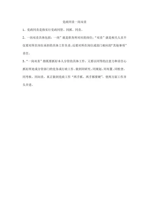 党政同责一岗双责