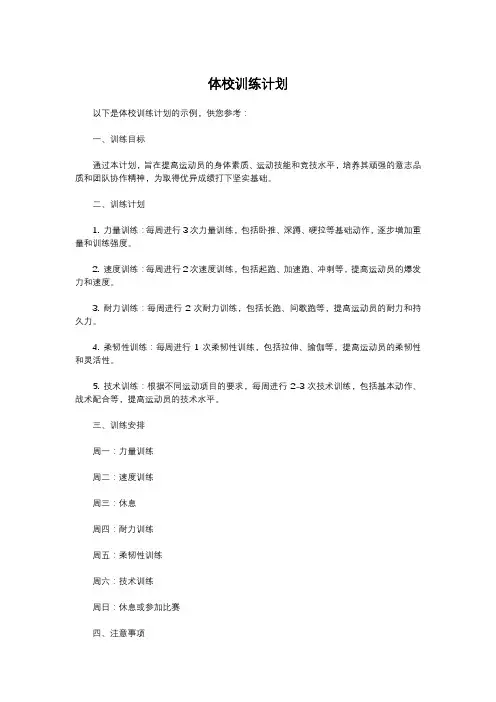 体校训练计划
