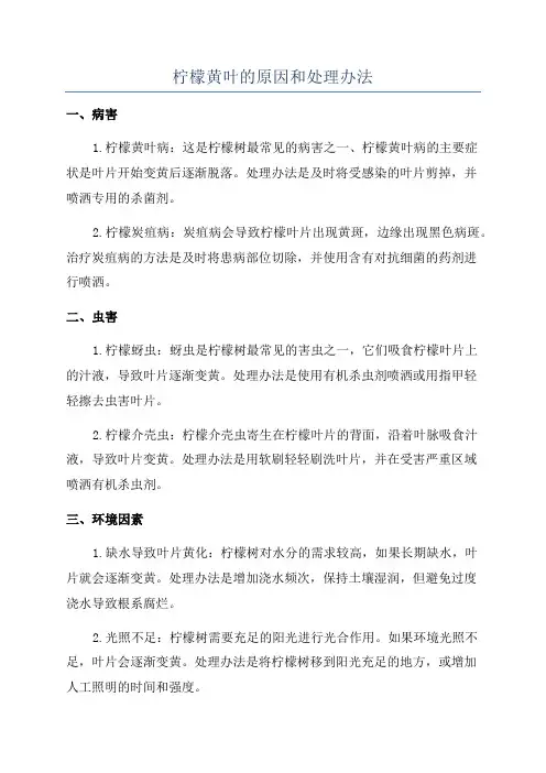 柠檬黄叶的原因和处理办法