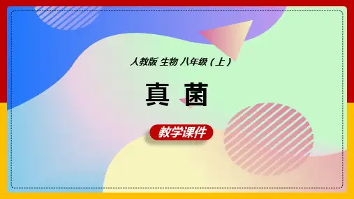 初中生物人教版八年级上册《5.4.3真菌》课件