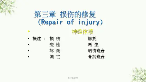 病理学损伤修复课件